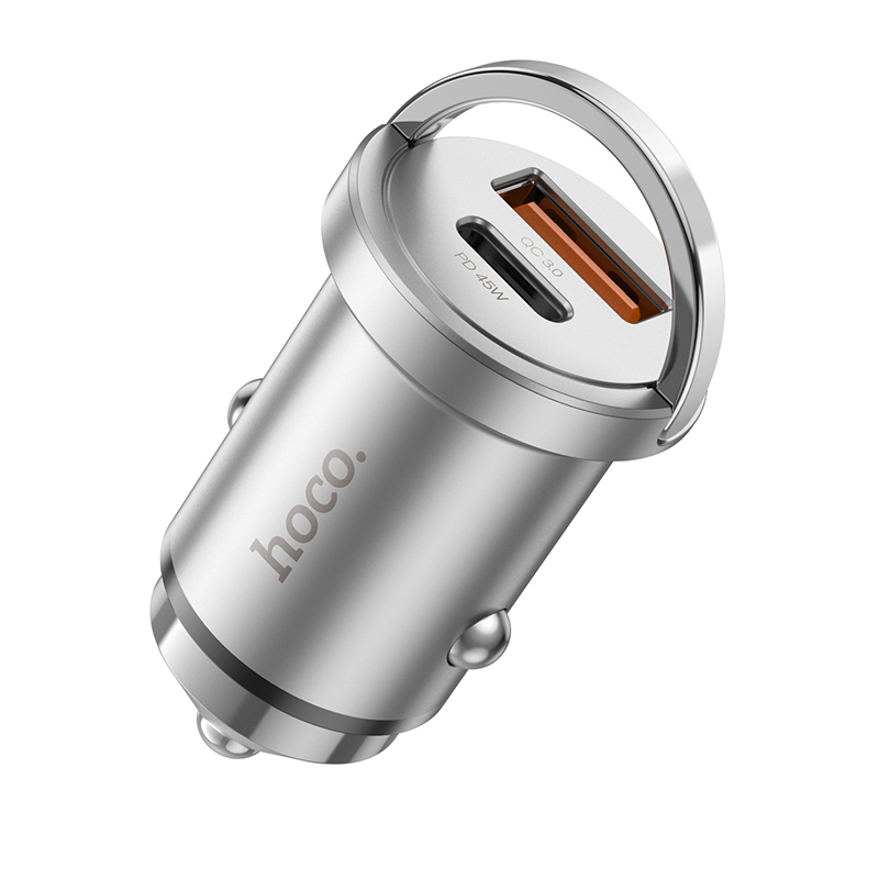HC-NZ10-Silver